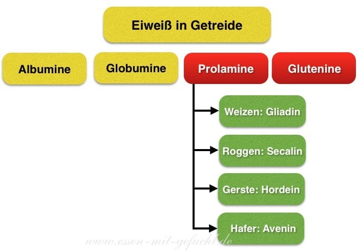 eiweiss in getreide