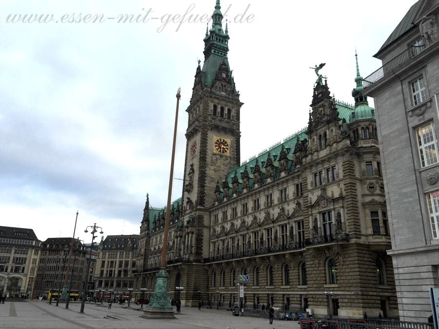 Der Hamburger Rathausplatz mal leer!