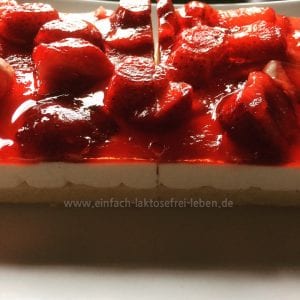 Laktose- und glutenfreie Kuchenschnitten erdbeer