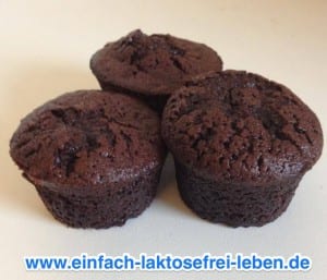 Kakaomuffins, laktosefrei, glutenfrei