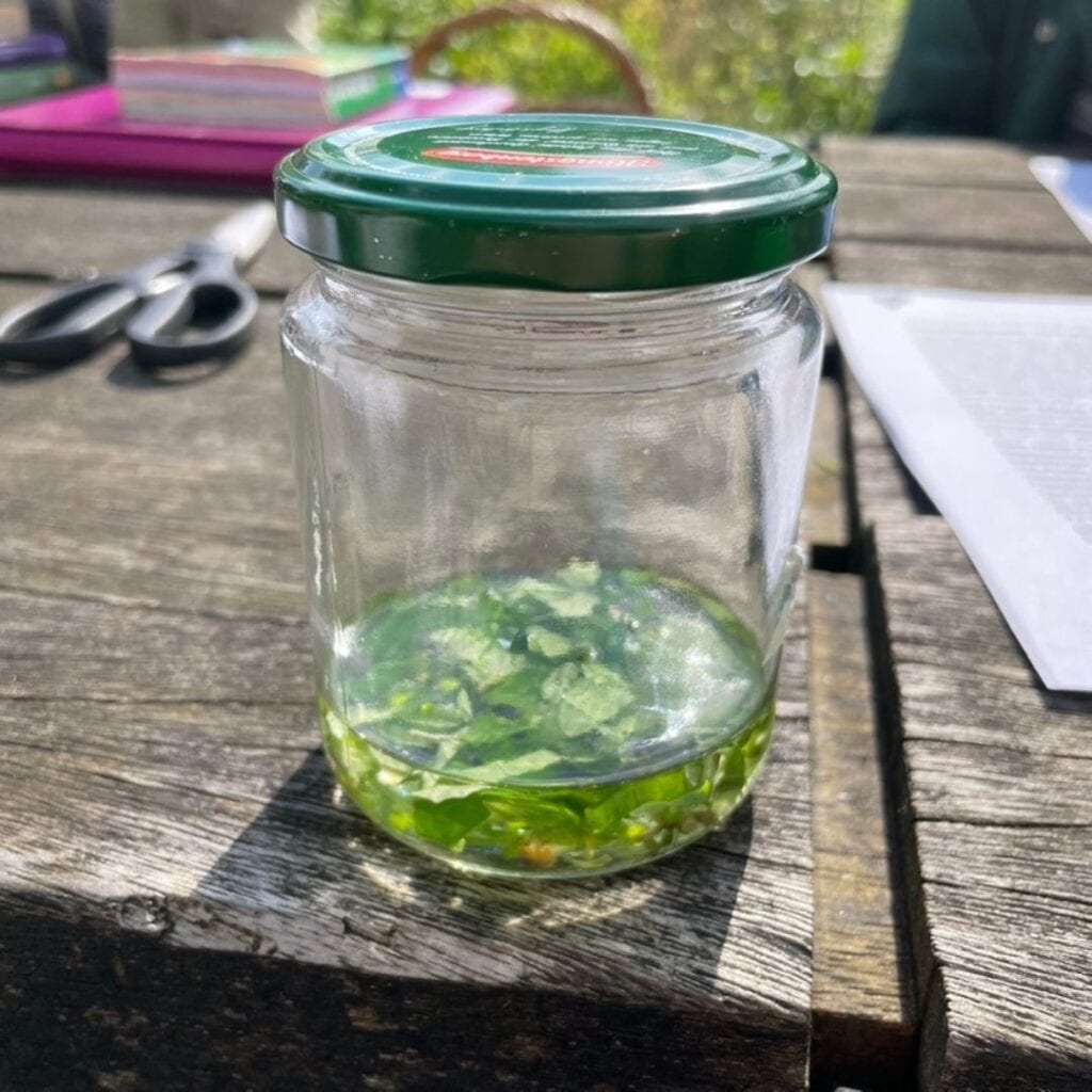 Ein Tisch mit einem Glas, darin Kräuter