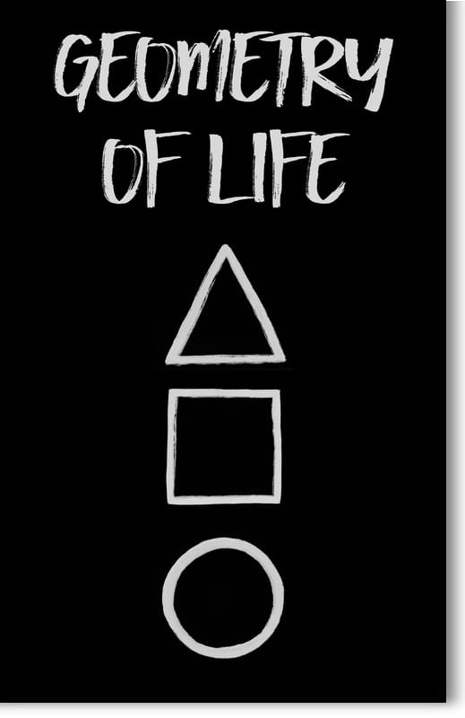 geometry of life