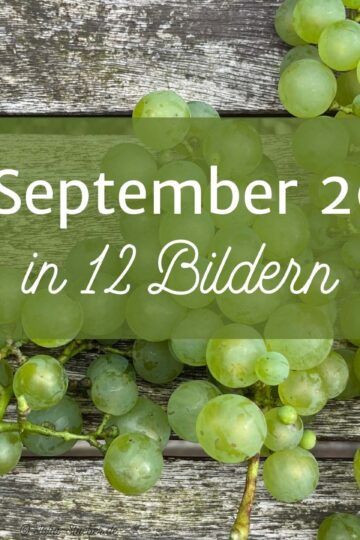 Mein 12. September 2024 in 12 Bildern, Titelbild mit Weintrauben