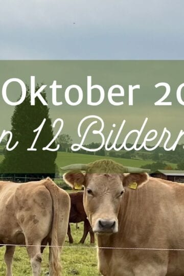 Mein 12. Oktober 2024