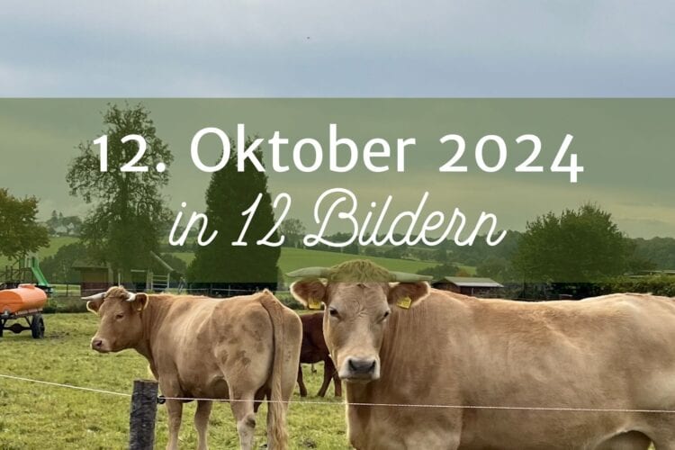 Mein 12. Oktober 2024