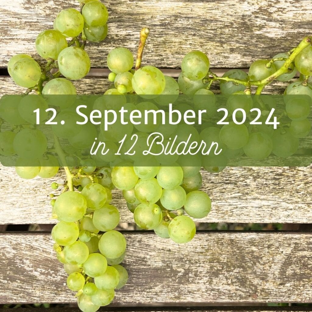 12 von 12 im September 2024