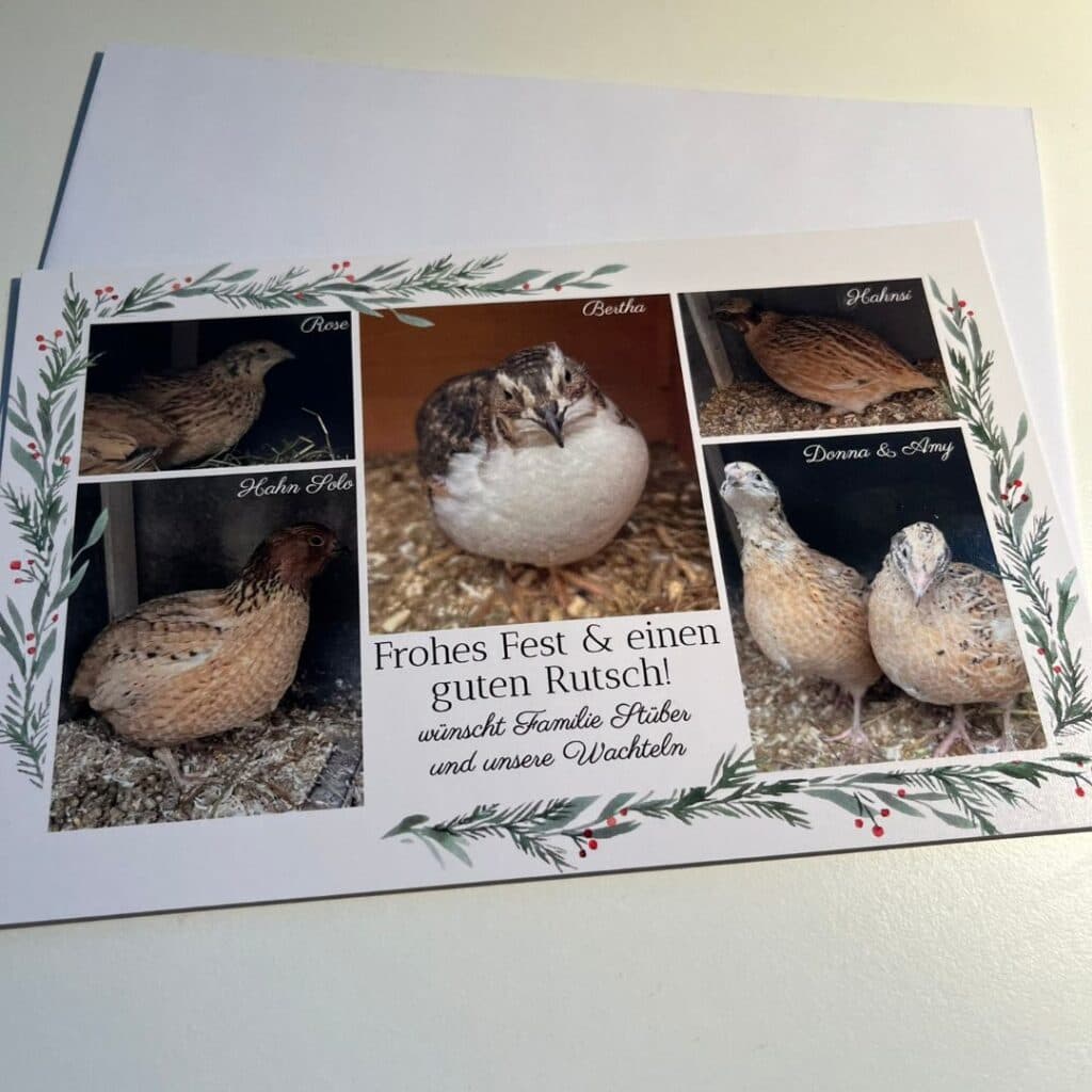 Unsere Weihnachtskarte