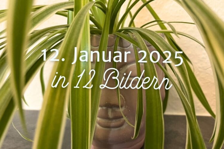 Mein 12. Januar 2025 in 12 Bildern