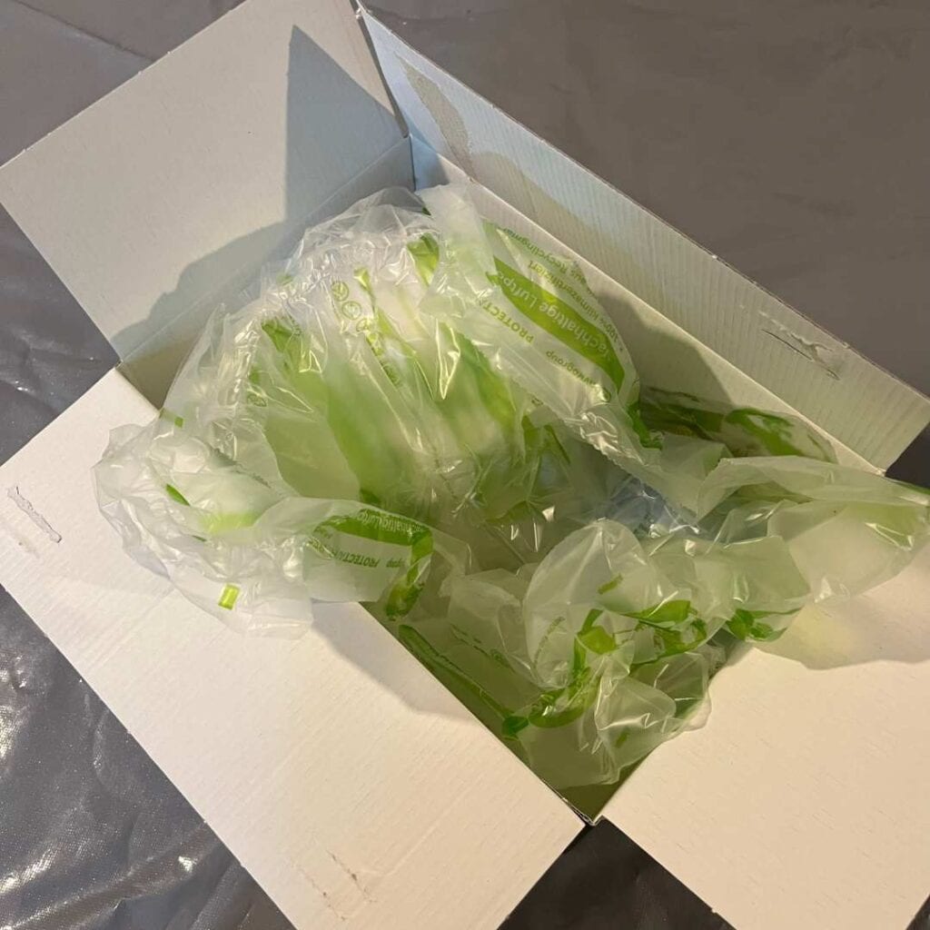 Ein Paket packen