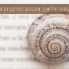 Slowpublishing – im Schneckentempo, aber mit Herz.