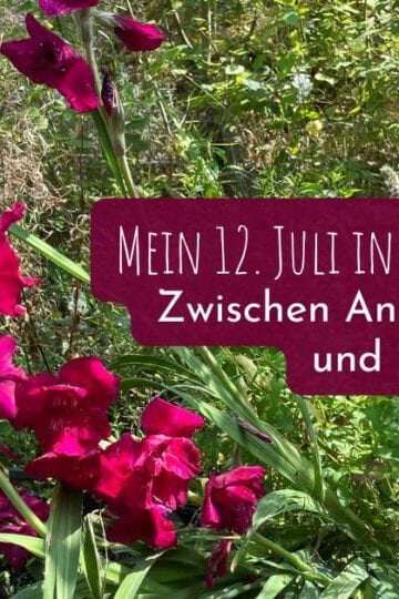 Mein 12. August in 12 Bildern – Zwischen Antibiotikum und Kreativität
