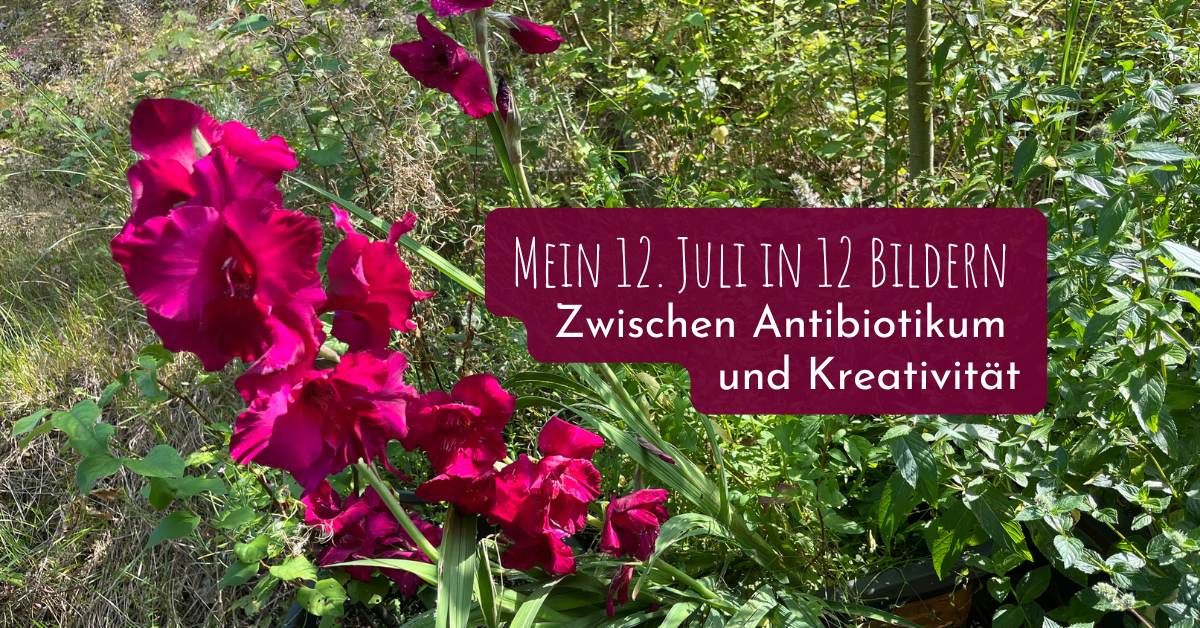 Mein 12. August in 12 Bildern – Zwischen Antibiotikum und Kreativität