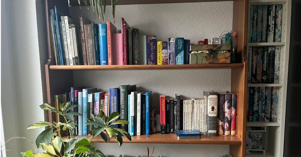 Mein Bücherregal