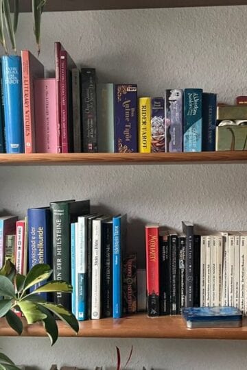 mein Bücherregal