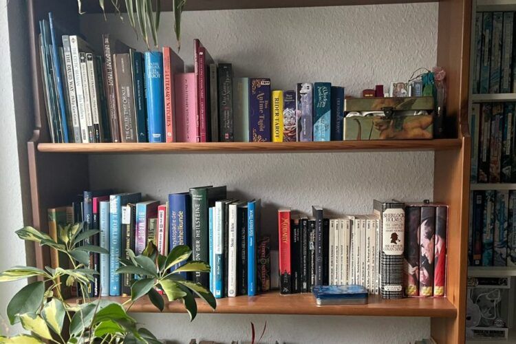 mein Bücherregal