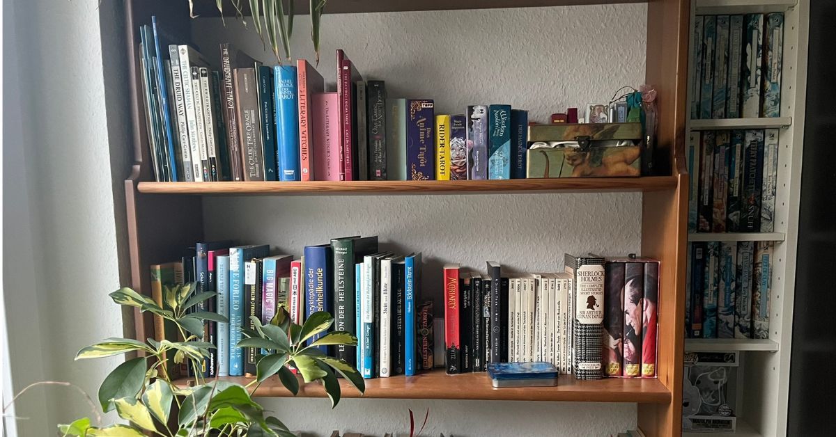 mein Bücherregal