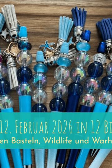 Mein 12. Februar 2026: Zwischen Basteln, Wildlife und Warhammer