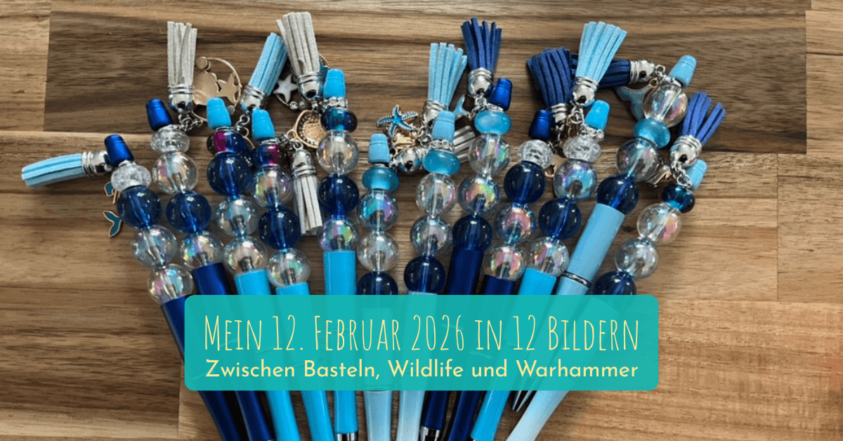Mein 12. Februar 2026: Zwischen Basteln, Wildlife und Warhammer