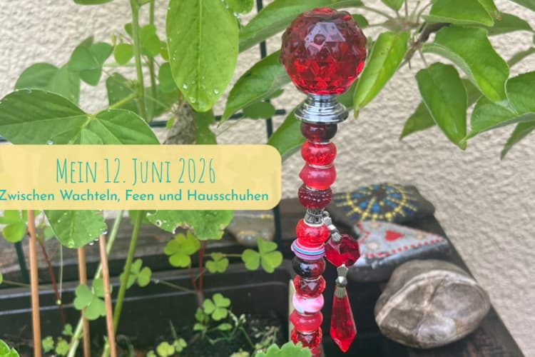 12 Bilder vom 12. Juni 2026