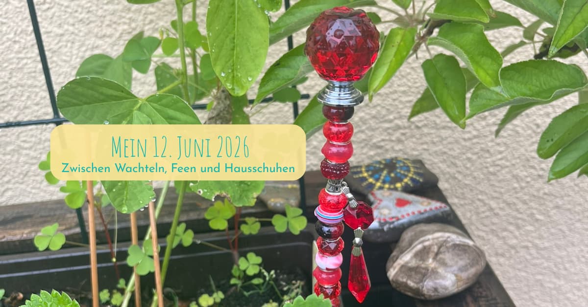 12 Bilder vom 12. Juni 2026
