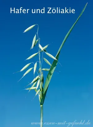 Hafer und Zöliakie