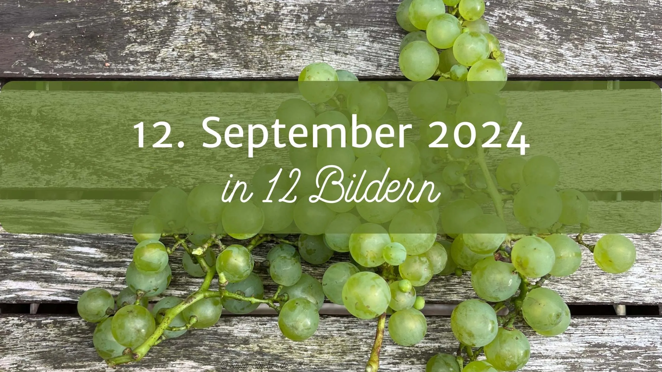 Mein 12. September 2024 in 12 Bildern, Titelbild mit Weintrauben