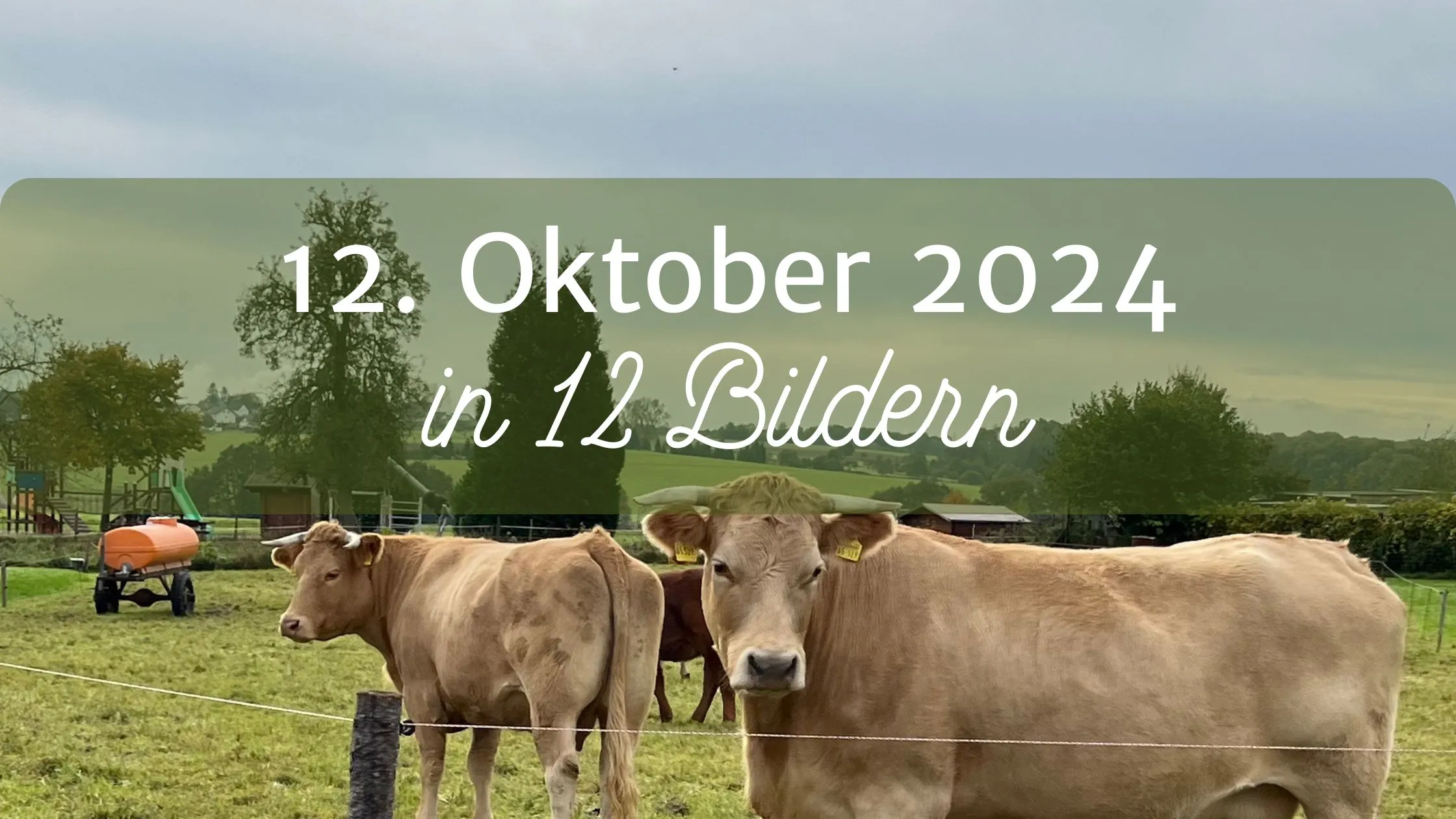 Mein 12. Oktober 2024