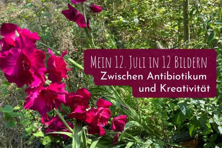Mein 12. August in 12 Bildern – Zwischen Antibiotikum und Kreativität