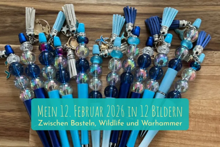 Mein 12. Februar 2026: Zwischen Basteln, Wildlife und Warhammer